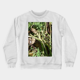 Desert Study 24 Crewneck Sweatshirt